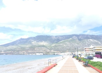 29.VIEW IN FRONT OF THE HOUSE